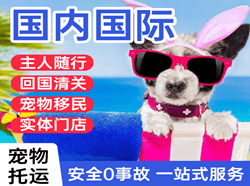 常德桃花源航空空运国际宠物托运 【国